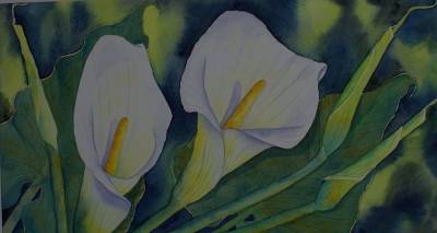 "Arum Lilies" - Gorgeous arum lilies are fun to paint. With mount and unframed for ease of postage. Free postage within NZ. - Painting by Christine Parnell, an artist from Hawke's Bay, New Zealand.