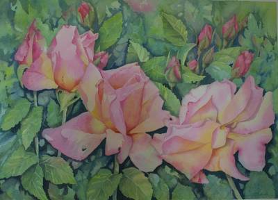 "Compassion" - framed on quality watercolour paper - this rose has prolific growth and spreads along a wooden fence in my garden. It flowers most of the year. - Painting by Christine Parnell, an artist from Hawke's Bay, New Zealand.