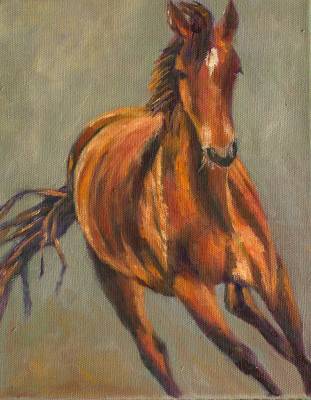 "Freedom" - acrylic on boxed canvas - I love horses - Painting by Christine Parnell, an artist from Hawke's Bay, New Zealand.