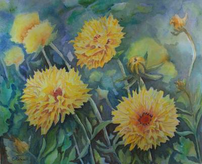 "Coreopsis" - Watercolour - Painting by Christine Parnell, an artist from Hawke's Bay, New Zealand.