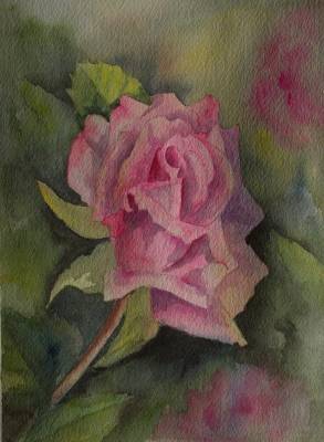 "Spring is Here!" - One of the first buds of season - Compassion is the rose. On 300gsm paper and unframed for ease of postage. Free postage within NZ. - Painting by Christine Parnell, an artist from Hawke's Bay, New Zealand.