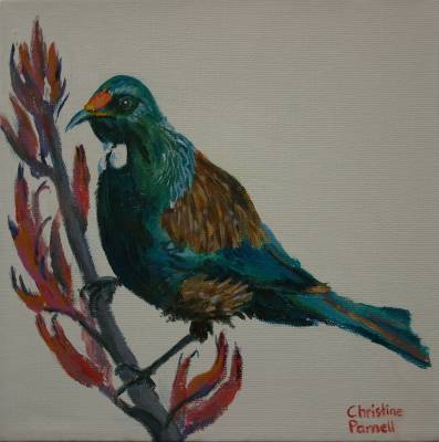 "Tui" - on boxed canvas - Painting by Christine Parnell, an artist from Hawke's Bay, New Zealand.