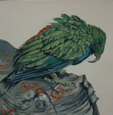 "Kea" - on boxed canvas - Painting by Christine Parnell, an artist from Hawke's Bay, New Zealand.