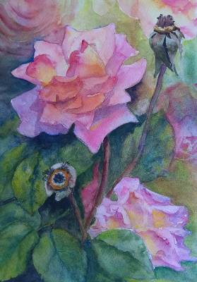 "Compassion" - One of my favourite roses, it climbs happily along a boundary fence. On Artistico 300gsm paper and unframed for ease of postage. Free postage within NZ. - Painting by Christine Parnell, an artist from Hawke's Bay, New Zealand.