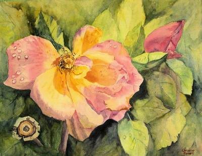 "That's Life" - Compassion in its last stages of life - this beautiful rose climbs along a boundary fence. On Arches paper, unframed for ease of postage. Free postage within NZ. - Painting by Christine Parnell, an artist from Hawke's Bay, New Zealand.