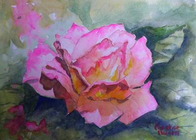 "Trellis Rose" - A beautiful scented rose which grows along a trellis In my garden. On Artistico watercolour paper and unframed for ease of postage. Free postage within NZ. - Painting by Christine Parnell, an artist from Hawke's Bay, New Zealand.